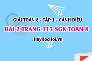 Giải bài 2 trang 111 Toán 8 Tập 1 SGK Cánh Diều: Hình bình hành, hình chữ nhật
